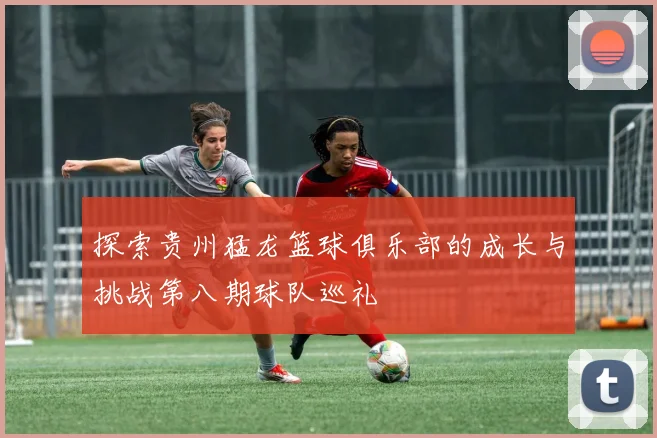 探索贵州猛龙篮球俱乐部的成长与挑战第八期球队巡礼