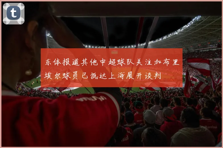 东体报道其他中超球队关注加布里埃尔球员已抵达上海展开谈判