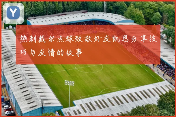 热刺戴尔点球致敬好友凯恩分享技巧与友情的故事